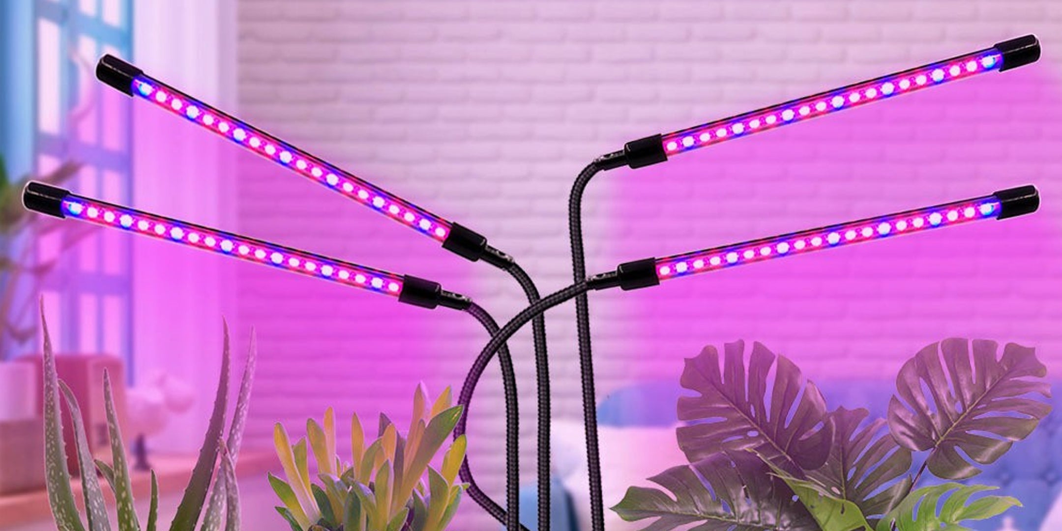 The Benefits of Grow Lights for Indoor Plants