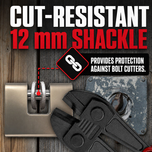 Shipping Container Heavy-Duty Stainless Steel D-Shaped Padlock