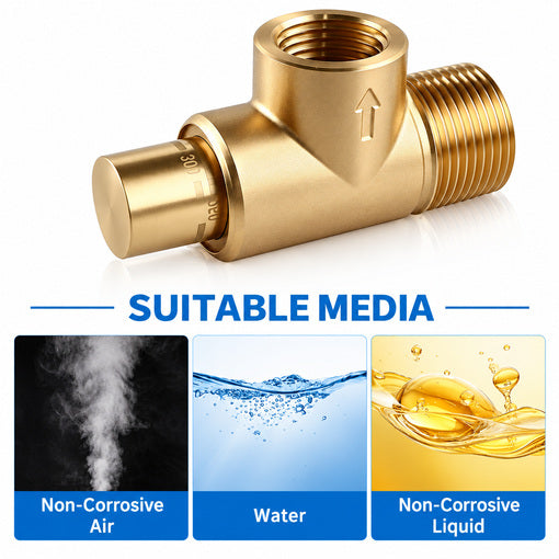 Poppet-Style Adjustable Pressure Relief Valve 100-300 PSI