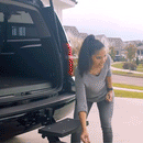 Dog Hitch Step