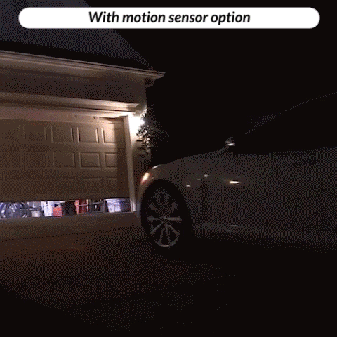 Garage LED Light