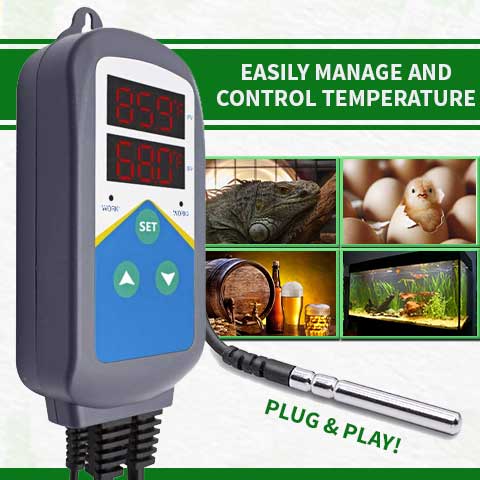 All Day Heating Thermostat Controller