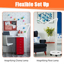2-in-1 LED Magnifying Floor Lamp