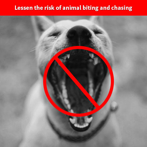 Easy Dog Training E-Collar