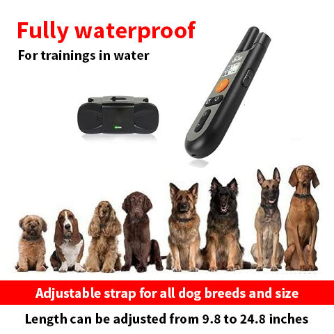 Easy Dog Training E-Collar