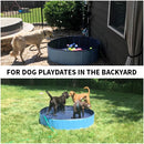 Foldable Dog Pool