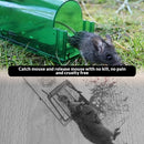 Humane Mouse Trap