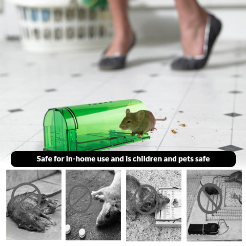 Are There Any Humane Mouse Trap Substitutes? - Permakill Exterminating