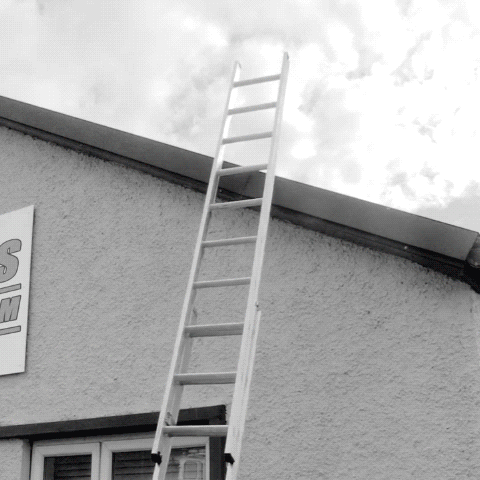 Ladder Stability Anchor GIF