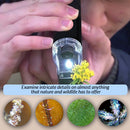 Pocket Microscope