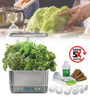 Smart Indoor Garden