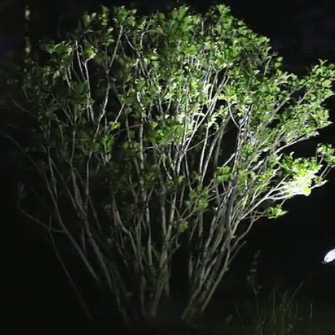 Outdoor Solar Spot Lights