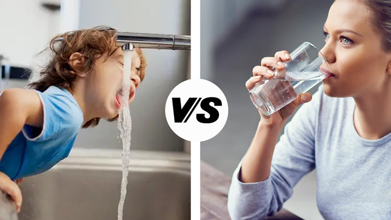 Tap Water vs. Distilled Water: What's Safe for Drinking?