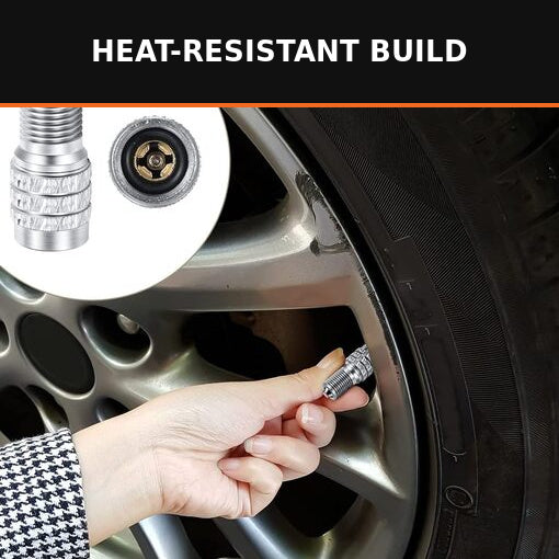 16-Pack Double Seal Tire Valve Stem Caps