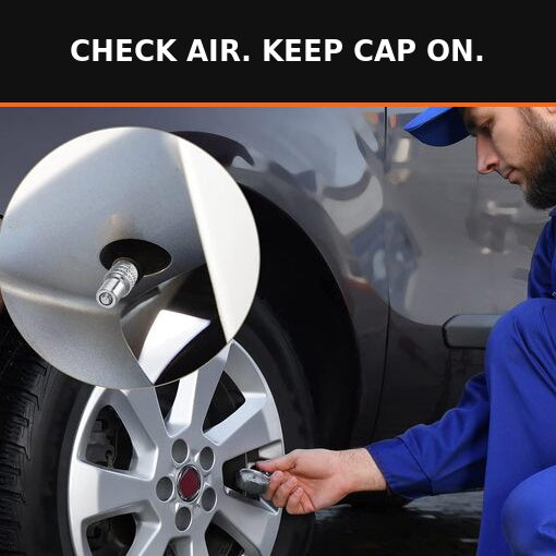 16-Pack Double Seal Tire Valve Stem Caps