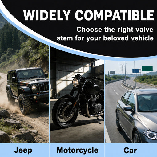 Clamp-in Metal Tire Valve Stem Set
