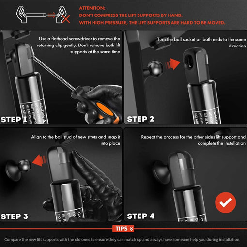 Hood Lift Support Shock Struts