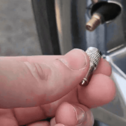 16-Pack Double Seal Tire Valve Stem Caps