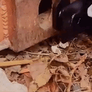 4Pcs Shipping Container Anchors