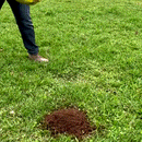 Adjustable Lawn Leveling Rake