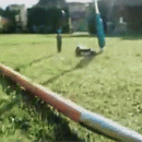 Electric Weed Puller Tool