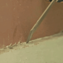 Multi-functional Flat Pry Bar