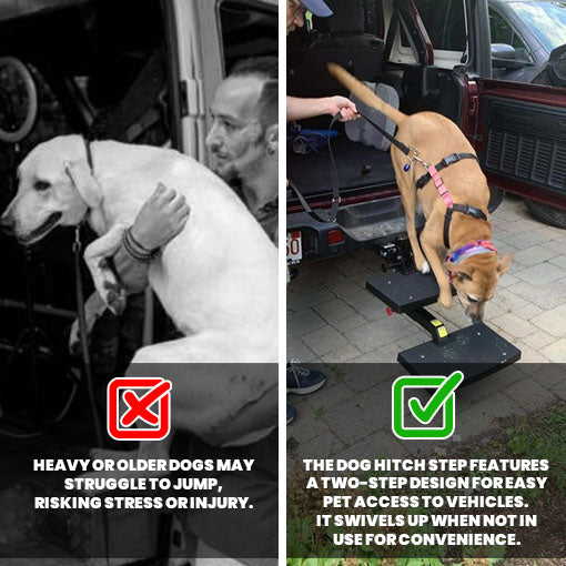 Dog Hitch Step