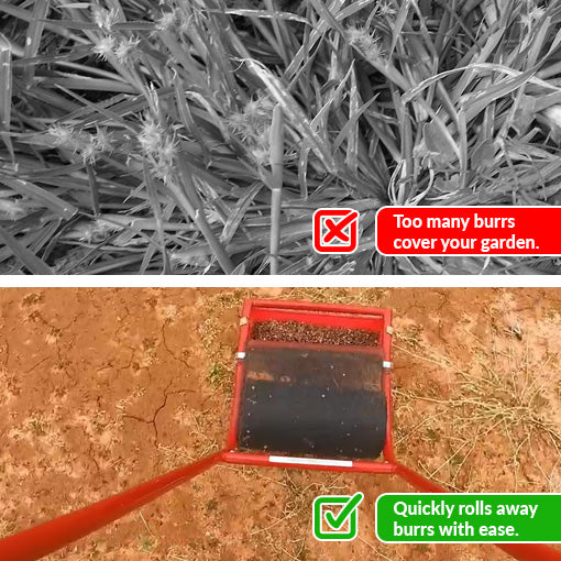 Sticker Burr Remover Yard Tool