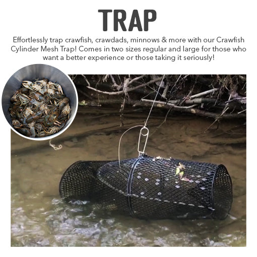 Crawfish Cylinder Mesh Trap