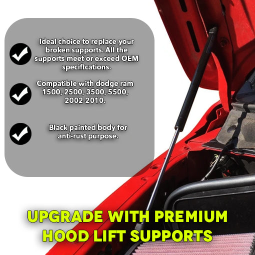 Hood Lift Support Shock Struts