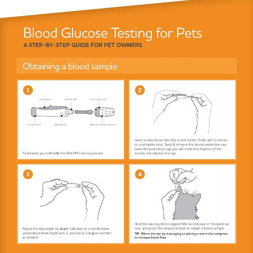 Pet Blood Glucose Monitoring Kit