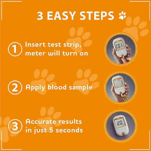 Pet Blood Glucose Monitoring Kit
