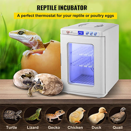 Reptile Digital Incubator