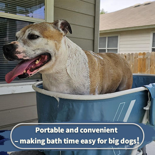 Portable Large Dog Bath & Wash Station