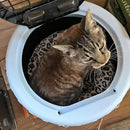 Top Load Travel Cat Kennel
