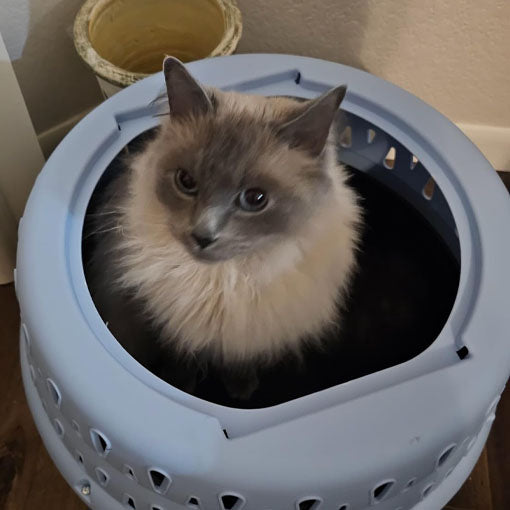 Top Load Travel Cat Kennel