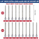Extra Long Allen Hex Bit Socket Set