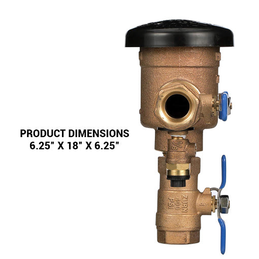 Pressure Vacuum Breaker Assembly