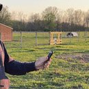 Electric Live Fence Indicator