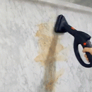 19-in-1 Heavy Duty Steam Cleaner