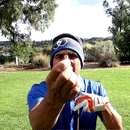 Professional Golf Tees in action