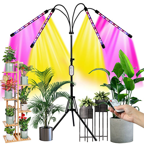 A grow light than can cater to lighting and growing needs of any type of plant.
