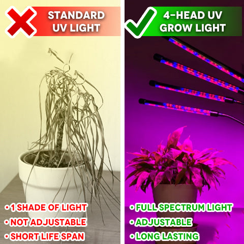 Using a standard UV light vs. 4-Head UV Grow Light