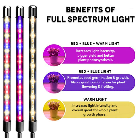 Benefits of full spectrum light
