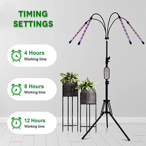Different timing settings of the 4-Head Dimmable Grow Light: 4, 8, or 12 hours