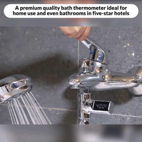 Shower Thermometer