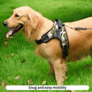 Adjustable Dog Harness