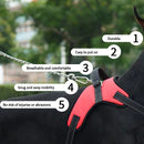 Adjustable Dog Harness