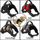 Adjustable Dog Harness