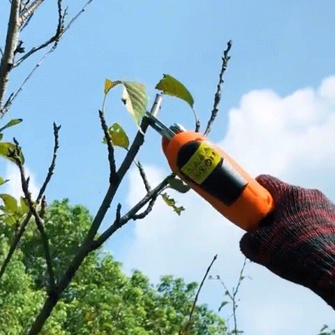 Automated Wireless Garden Pruner